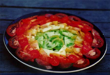 Bunte Tomaten auf dem Teller