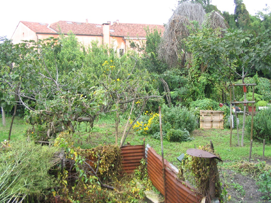 Verwilderter Nutzgarten auf Giudecca