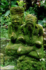 Bemooste Steinfiguren auf Bali