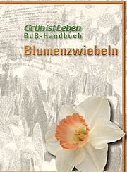 BdB Handbuch Blumenzwiebeln