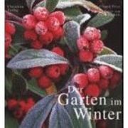 Ein Garten im Winter