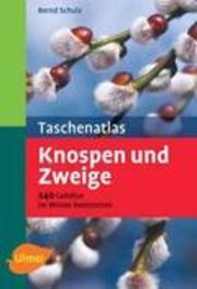 Taschenatlas Knospen und Zweige