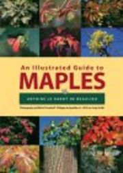 Illustrated Guide to Maples