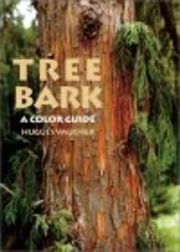 Tree Bark: A Color Guide