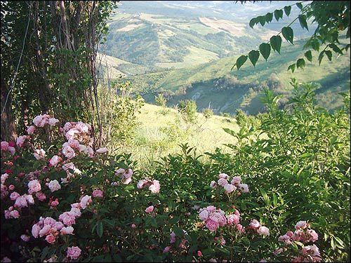 Cornelia und Appeninblick