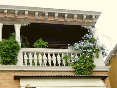 Garten in Venedig 7