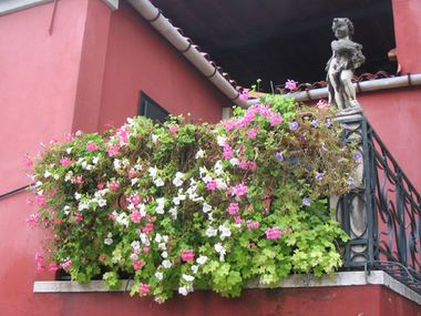 Garten in Venedig 8