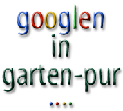 Bild Portal-Seite Suchen mit Google