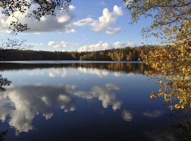 Smartphone-Foto: Herbstlandschaft