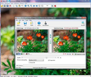 Anleitung Bildbearbeitung: Irfanview - speichern für Web - Dateigröße