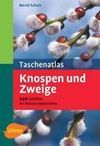 Taschenatlas Knospen und Zweige