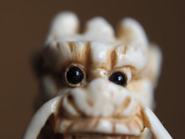 1,5:1 Makro: Ausschnitt aus einer 25 mm hohen Netsuke