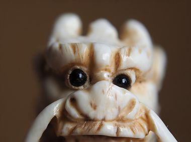 Stack aus 13 Einzelfotos: Ausschnitt aus einer 25 mm hohen Netsuke