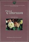 Viburnum