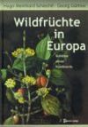 Wildfrüchte in Europa
